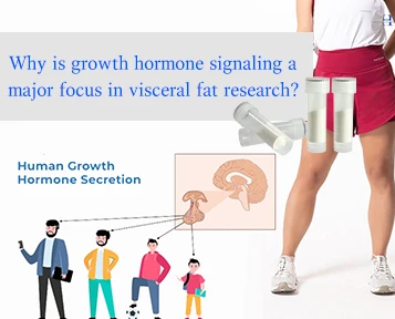 Why Is Growth Hormone Signaling A Major Focus
