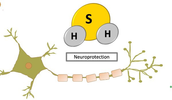 benefits of Adamax benefits of Adamax